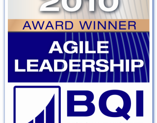Agile Leadership Award 2010 Winner Agile-Leadership-Award-2010-Logo-320