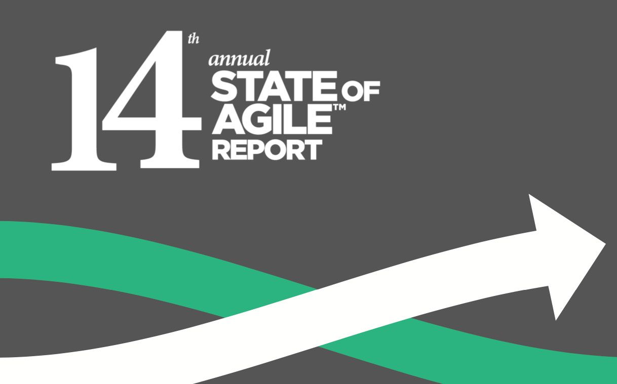 Stan Agile Raport Stan Agile Raport