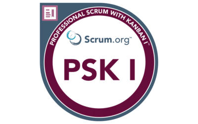 Logo Certyfikat PSK I